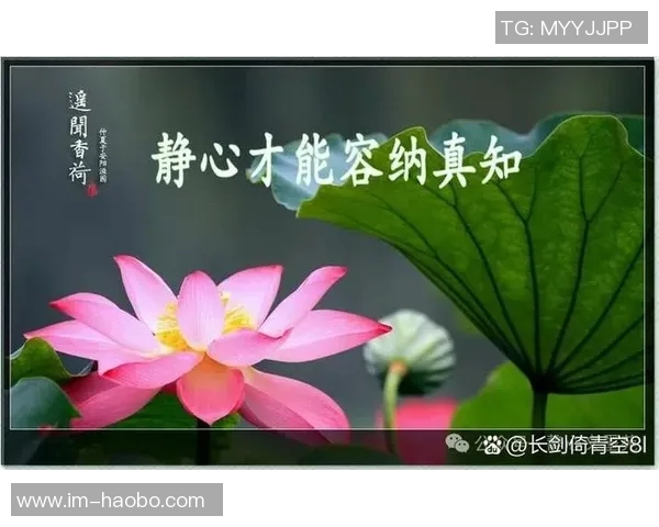 太阳赛季前瞻：期待不如放下包袱或许能迎来意外惊喜